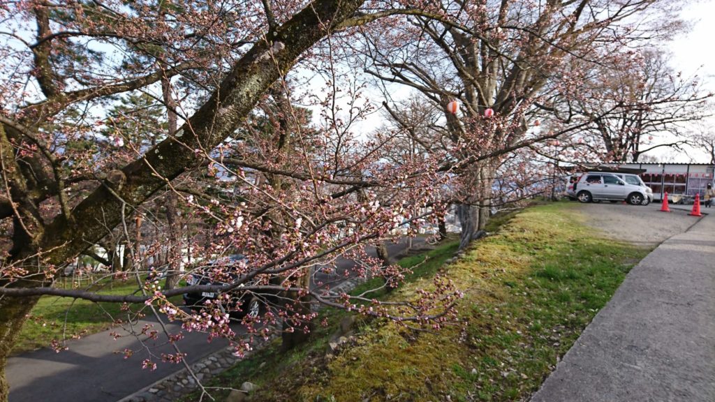 長野散策～桜を求めて編～①